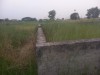 মিরপুর ১ কাউন্দিয়াতে জমি বিক্রয়